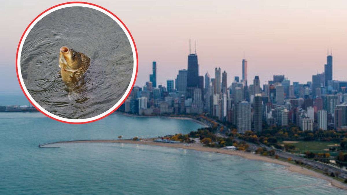 Mogło dojść do inwazji. Sytuację zatrzymał jeden szczegół