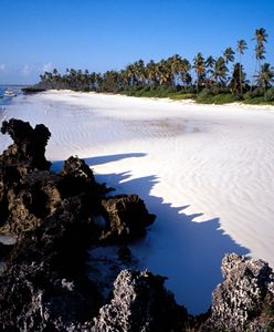 Koronawirus. Tysiące turystów na Zanzibarze. Obostrzeń brak