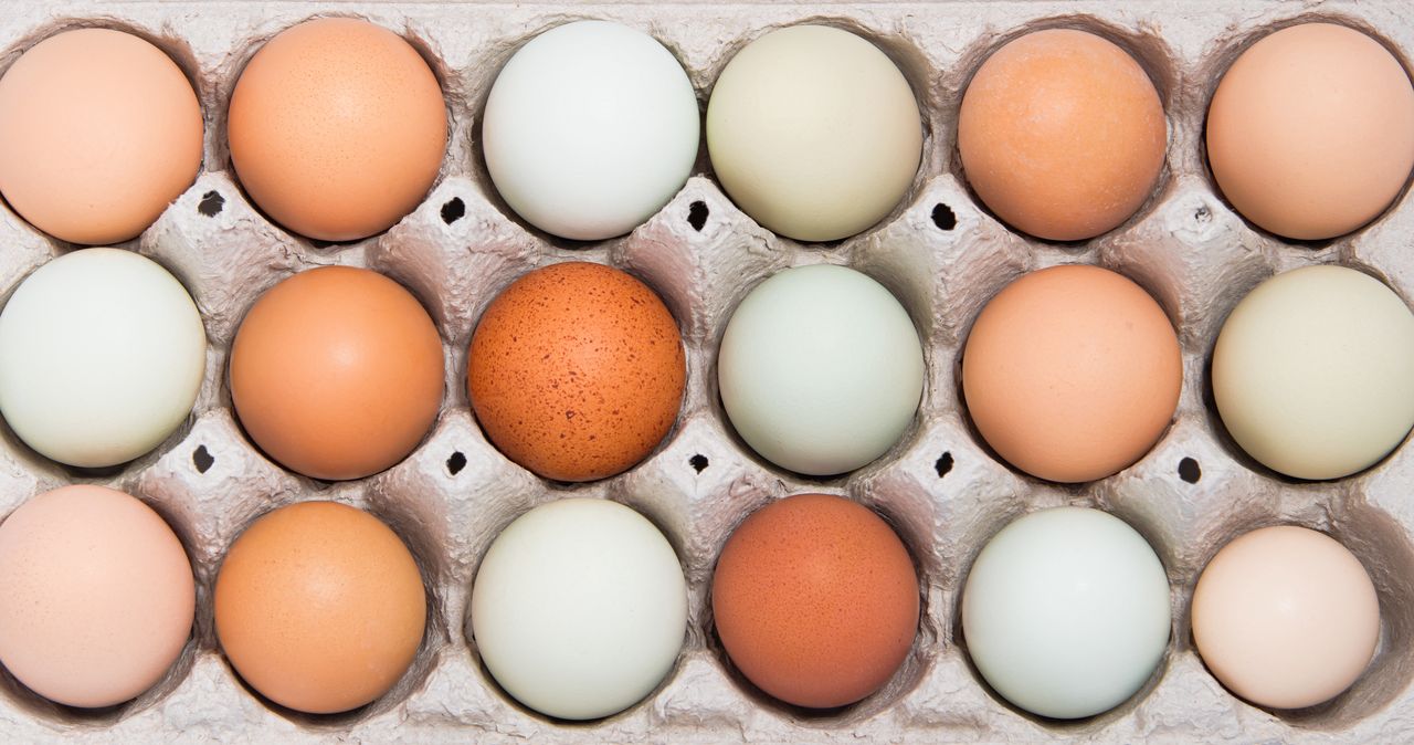 What does the colour of an egg say?