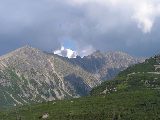 Obraz