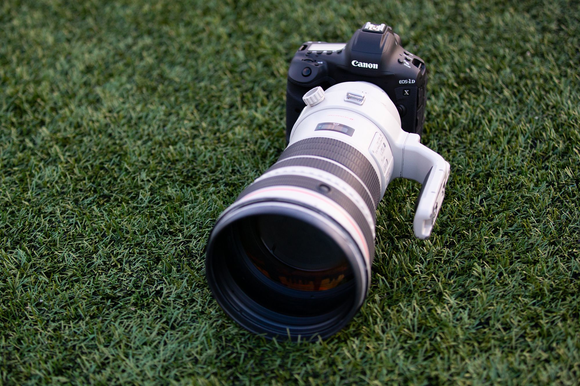 Z aparatem wśród Panter, czyli Canon EOS-1D X Mark III w akcji 2