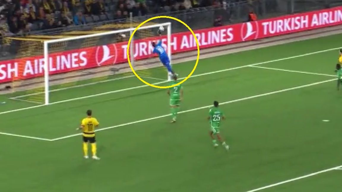 Twitter / Polsat Sport / Na zdjęciu: samobójczy gol