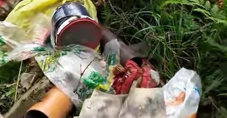 Szokujące nagranie z lasu. "Nic tak nie podnosi ciśnienia"