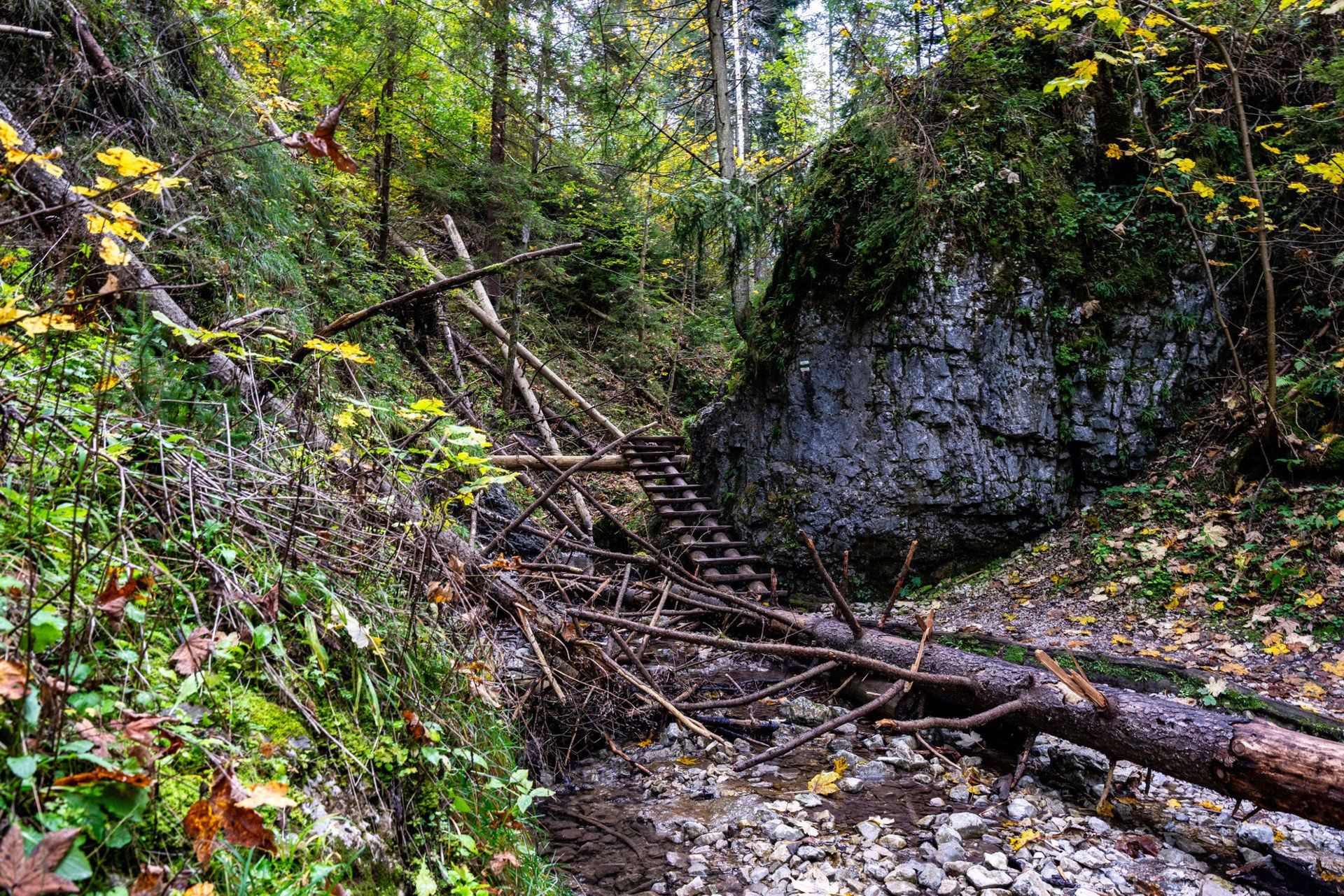 Jesienny Słowacki Raj z nutką adrenaliny