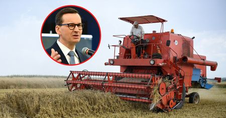 Znamy kwoty dopłat dla rolników. Pieniądze także za nawozy i paliwo