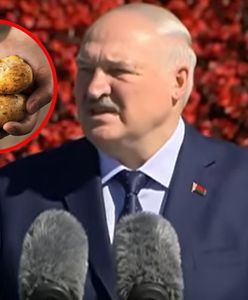 Białoruś, ziemniaki i władza totalna. Jak Łukaszenka próbuje rozwiązać kryzys?