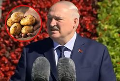 Białoruś, ziemniaki i władza totalna. Jak Łukaszenka próbuje rozwiązać kryzys?