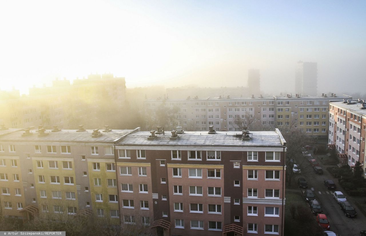 Nocne przymrozki i gęste mgły. Ostrzeżenia