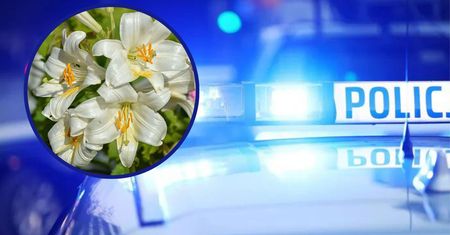 25-letniego strażaka OSP skatowano na śmierć. Widok grobu wyciska łzy