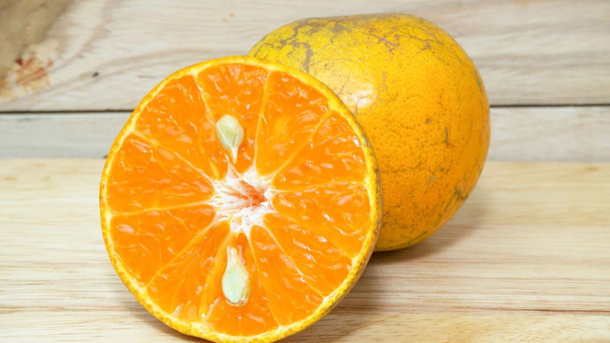 Przeciwnowotworowe właściwości żywności. Naukowcy stawiają na zdrowe odżywianie