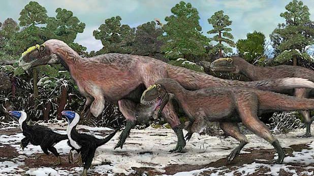 Puchaty tyranozaur 1