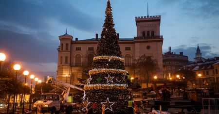 Bielsko-Biała. Miasto stroi się na święta Bożego Narodzenia. Choinka już stoi