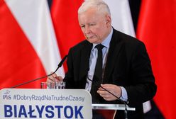 "Euro po 3 zł". Burza po słowach Jarosława Kaczyńskiego. "O sile waluty mówi kurs"