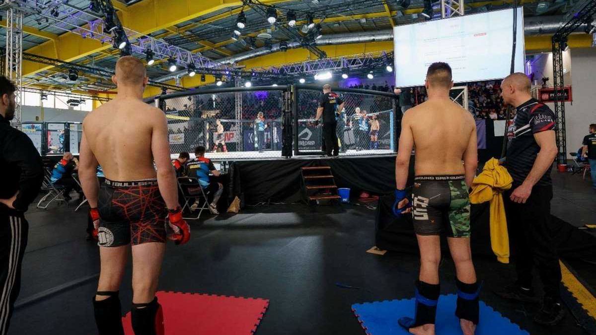 Materiały prasowe / Jak skutecznie obstawiać zakłady na MMA?