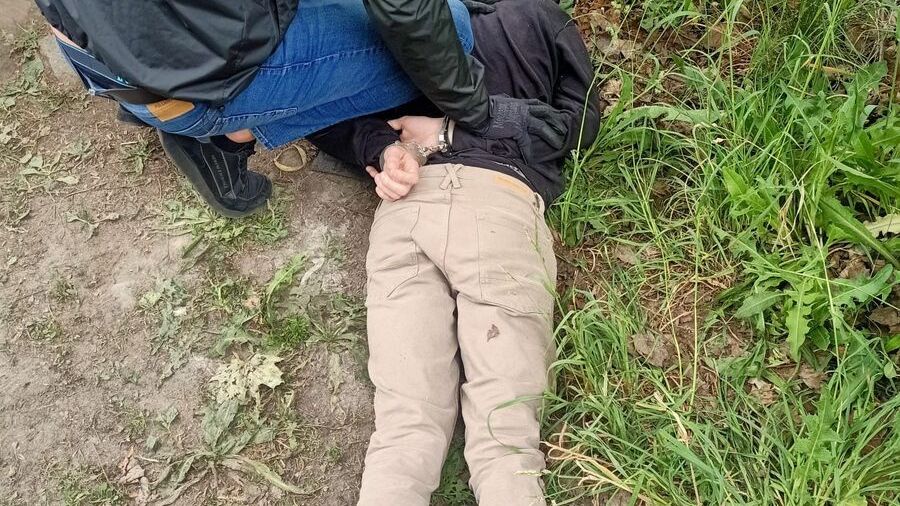 policja