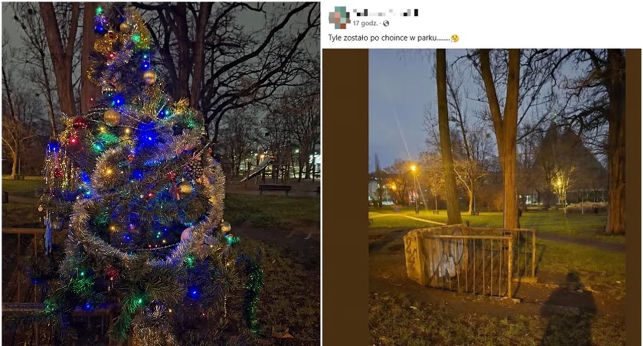 Dzieci ubrały choinkę na osiedlu. Po dwóch dniach już ją ukradziono