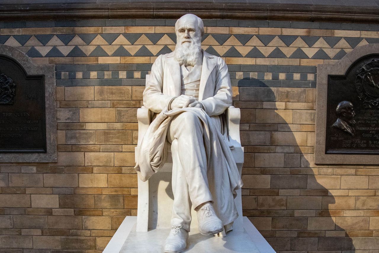 Pomnik Karola Darwina w Londynie.