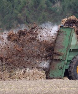 Tragedia podczas rozwożenia obornika. Młody rolnik nie żyje