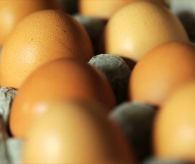 Jak przygotować jajka, by były najzdrowsze