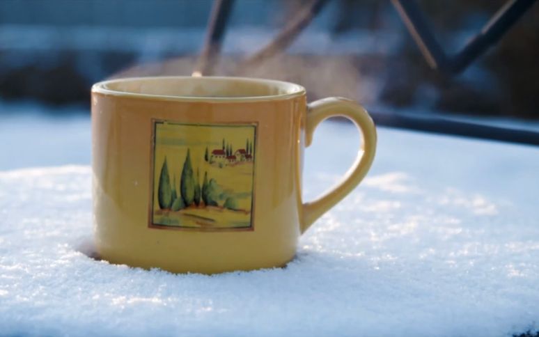 Herbaty, które mogą szkodzić zdrowiu (WIDEO)