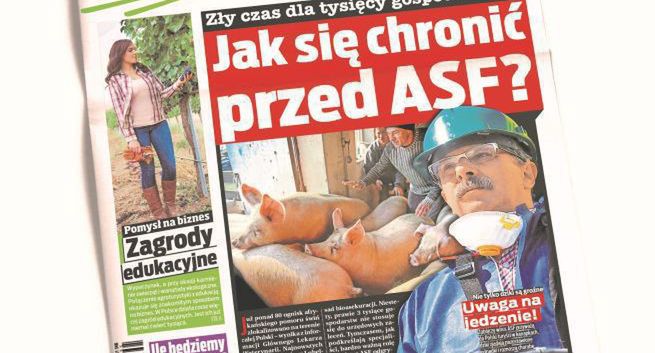 „Fakt” wprowadza dodatek „Fakt za miastem” dla mieszkańców miejscowości poniżej 50 tys. mieszkańców