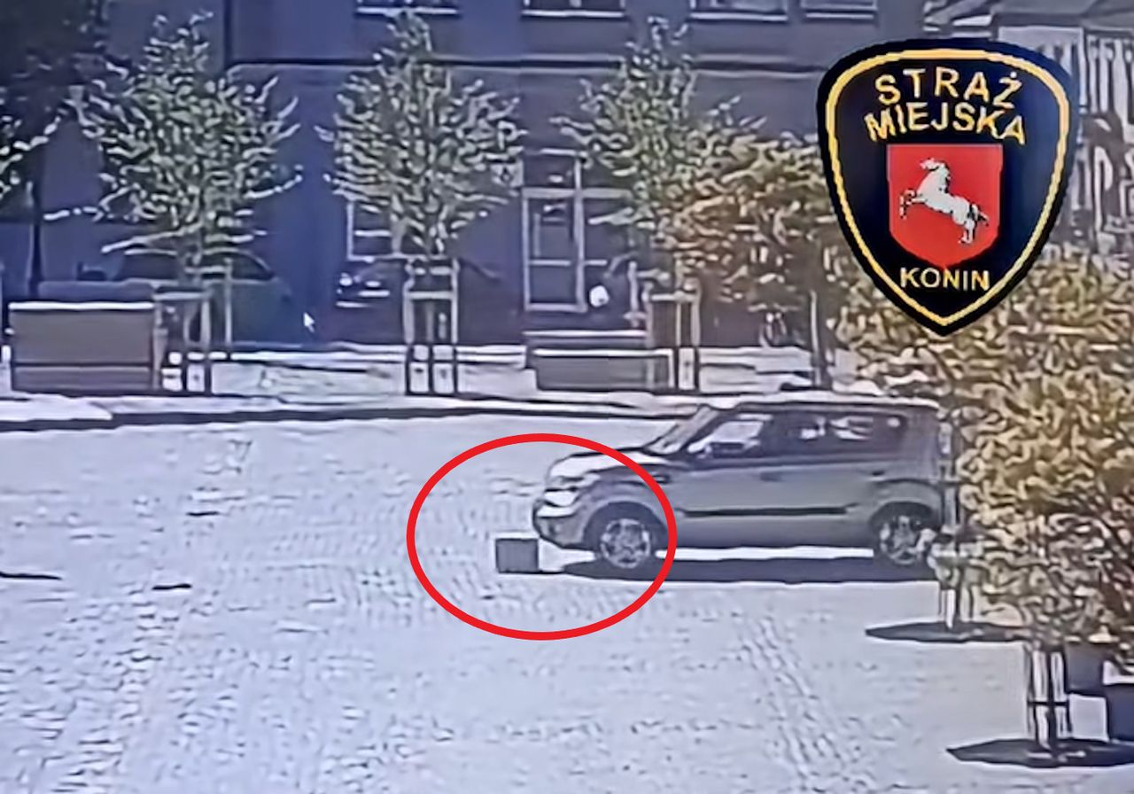 To nie fotomontaż. Strażnicy pokazali, co zrobił kierowca