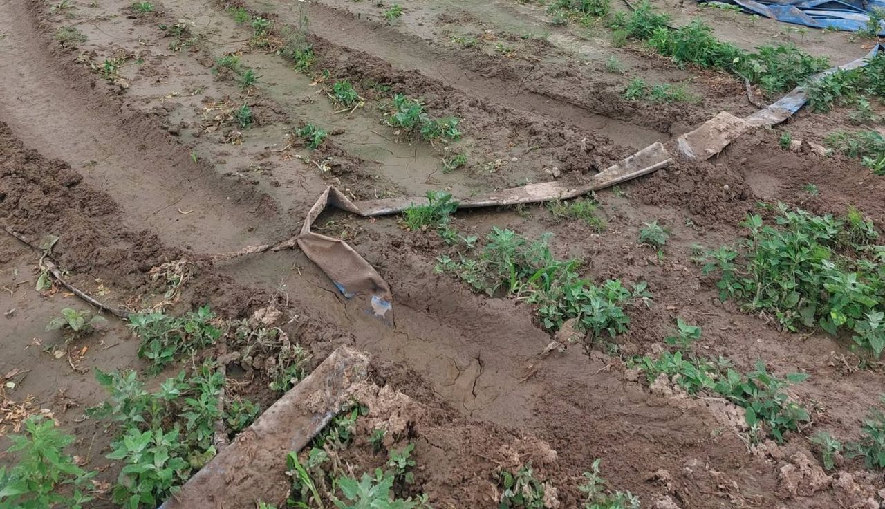 "Są ludzie i ludziska". Rolniczka nie wytrzymała i pokazała pole