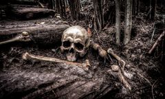 Makabryczne odkrycie w Strzelinie. Ludzka czaszka w rękach dziecka