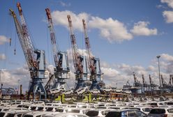 Szpiegowskie żurawie z Chin. "Konie trojańskie" w portach