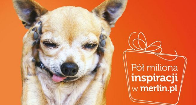 „Pół miliona inspiracji” - zwierzęta w świątecznej kampanii Merlin.pl (wideo)