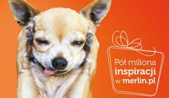 „Pół miliona inspiracji” - zwierzęta w świątecznej kampanii Merlin.pl (wideo)
