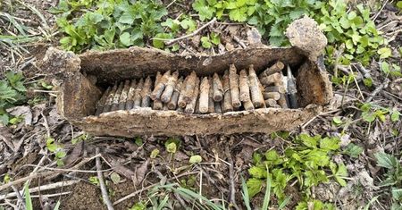 Zardzewiała skrzynia z II wojny światowej. W sadzie w Wieńcu wykopano 157 nabojów