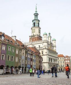 Wyniki drugiej tury wyborów prezydenckich 2025 w Wielkopolsce. Jak głosowali mieszkańcy Poznania?