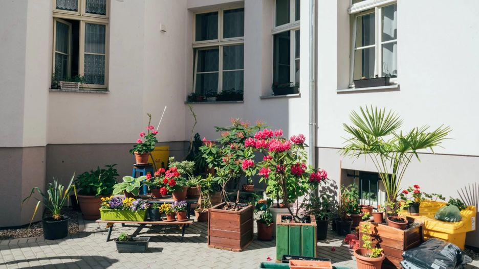 Poznań znów zmienia się na zielono.