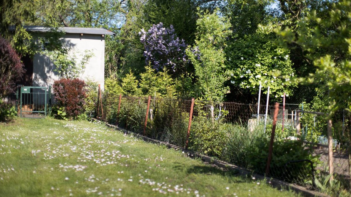 Czego nie można robić na działce? 