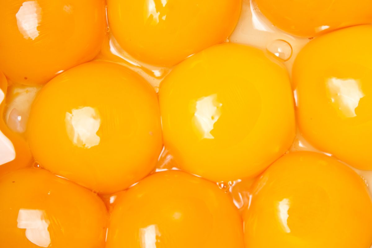 Does the color of egg yolks matter?