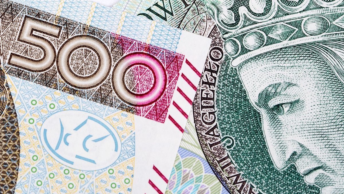 polish, insurance, documents, money, poland, zloty, zus, background, currency, cash, finance, business, bill, wealth, paper, bills, banknote, savings, financial, green, banknotes, economy