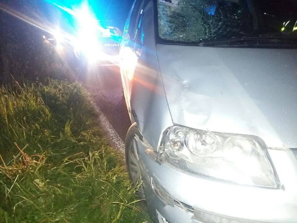 Wypadek w Dobrzyniewie. Nie żyje pieszy