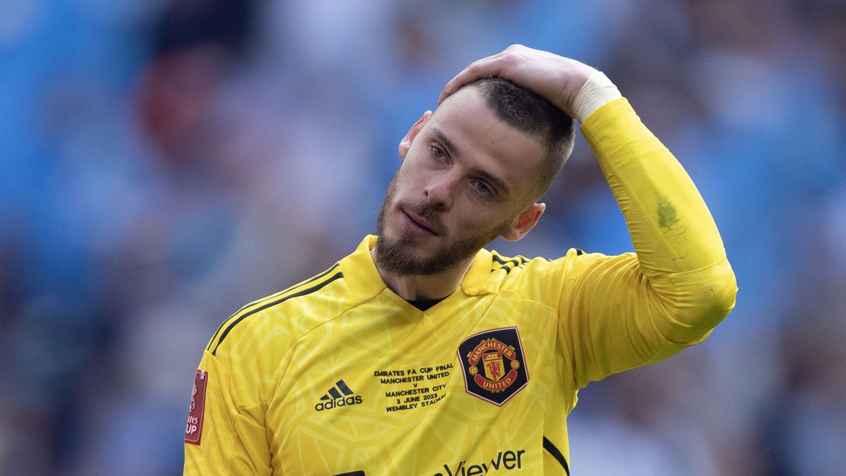 Zdjęcie okładkowe artykułu: Getty Images / Visionhaus / Na zdjęciu: David de Gea