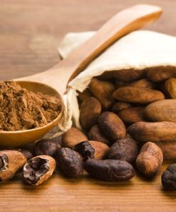 Kakao – kalorie, właściwości, jak zrobić, zastosowanie, przepisy