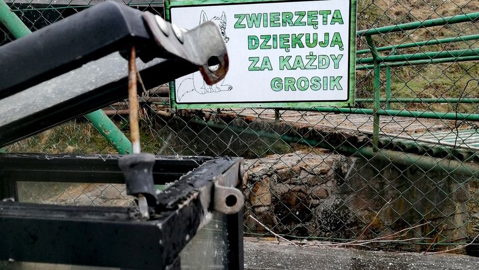 Okradziono skarbonkę z pieniędzmi zbieranymi na zwierzęta z minizoo. Właściciele prześledzą monitoring