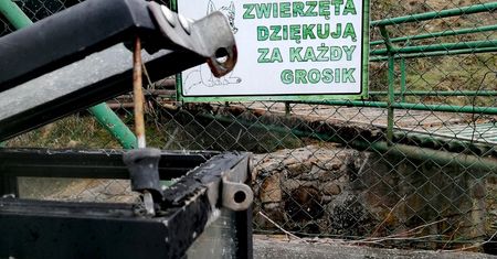 Okradziono skarbonkę z pieniędzmi zbieranymi na zwierzęta z minizoo. Właściciele prześledzą monitoring