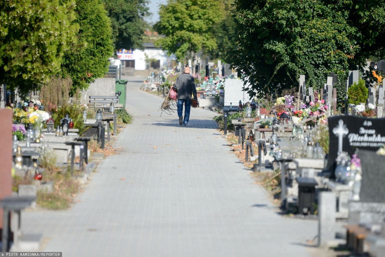 Warto zabierać dzieci, idąc na cmentarz