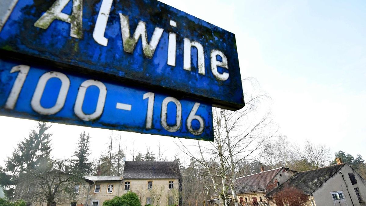 Alwine, 30 listopada 2017 r.