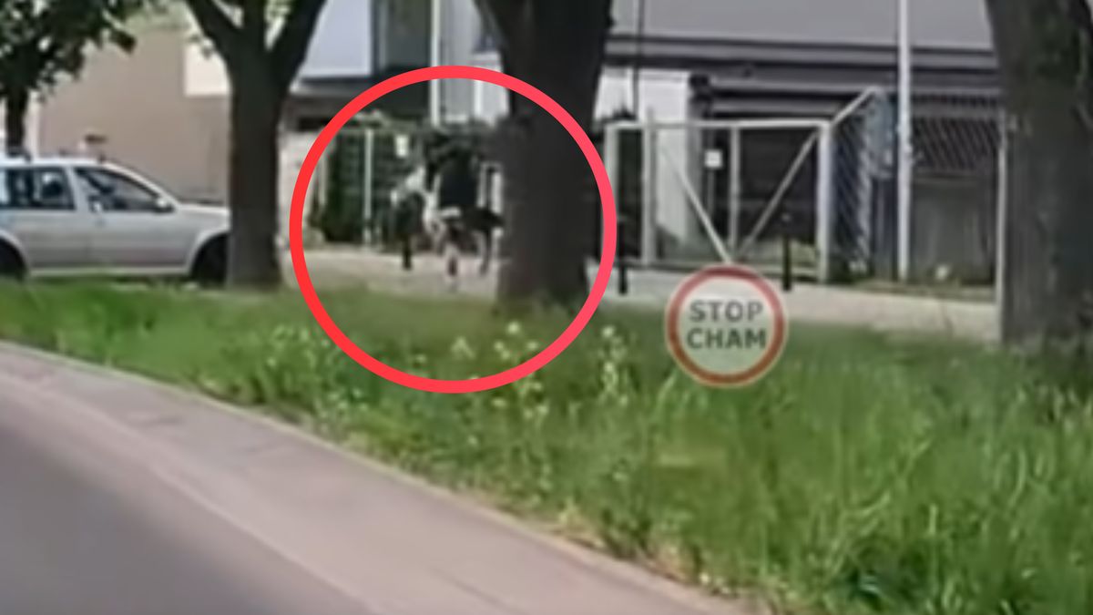 Bolesny incydent na Targówku. 