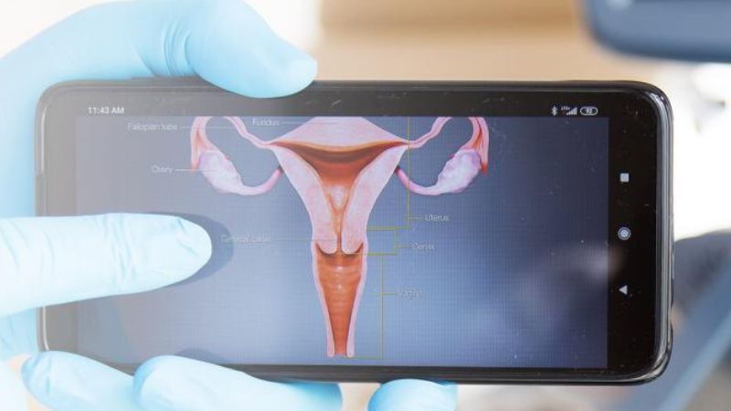 Mieszkanki Torunia w wieku od 25 do 64 lat mogą bezpłatnie wykonać test wykrywający wirusa HPV, który odpowiada za większość przypadków raka szyjki macicy.