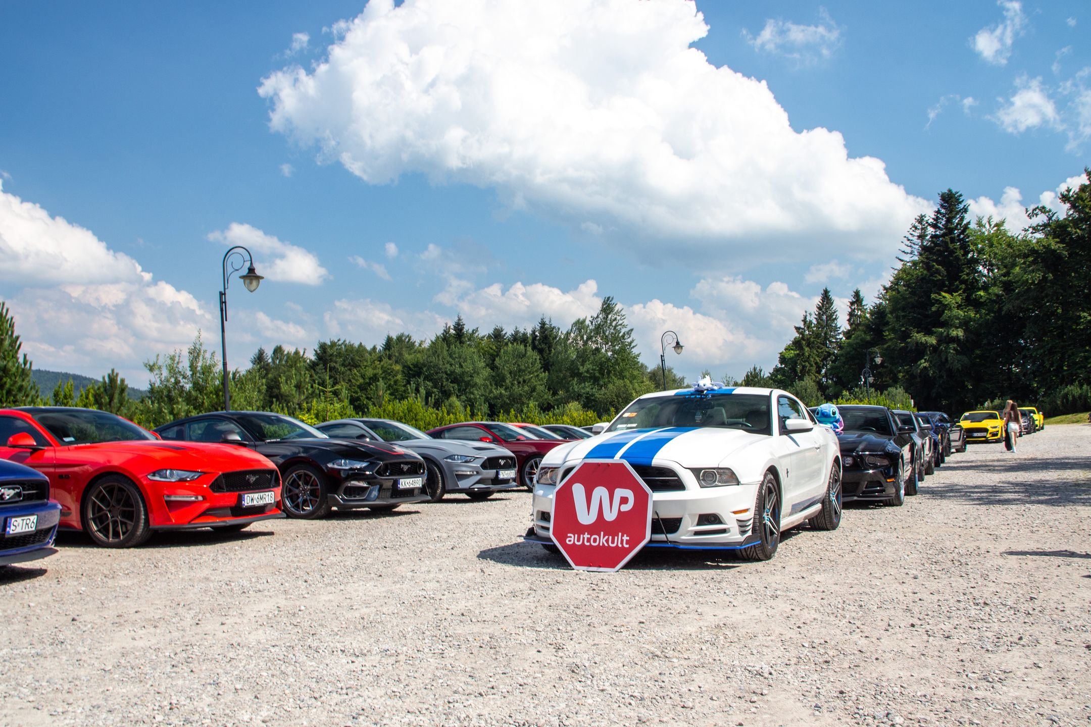 Małopolski & Śląski Zlot Mustangów 2024