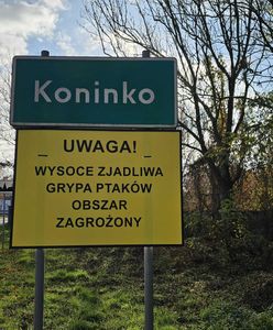 Ptasia grypa znowu wraca? Pojawiły się ostrzeżenia