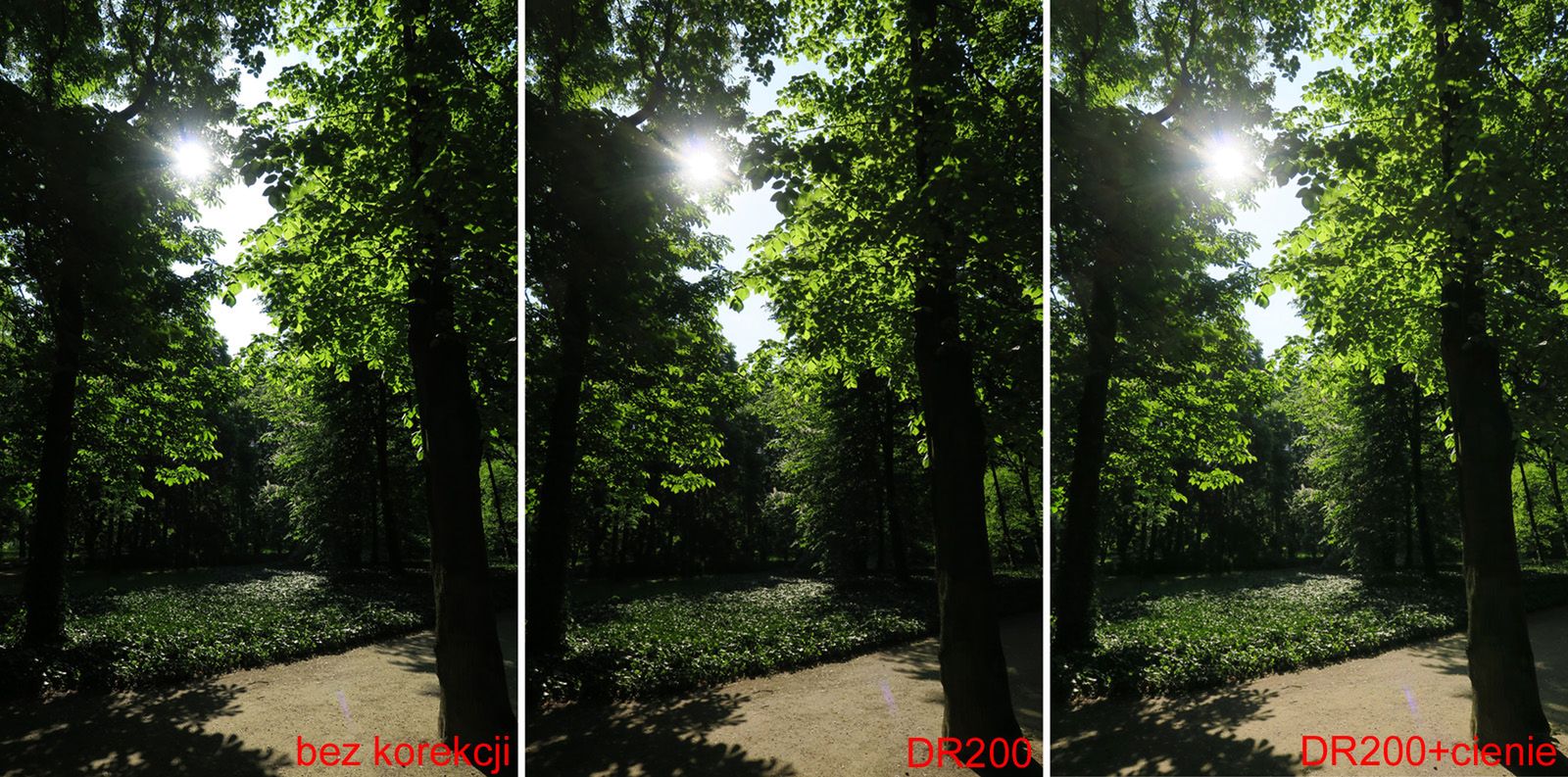Canon G3X – mały aparat, spora matryca… i co więcej? 14