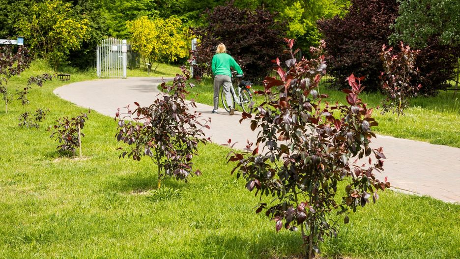 Od trzech lat Gardening Club Bydgoszcz aktywnie działa w parku. Z jego inicjatywy przy wejściu do Ogrodu Botanicznego utworzono sad społeczny.